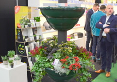 De Laterna van De Bruin Plantpot.